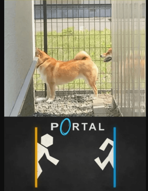 Portal perrete edition
