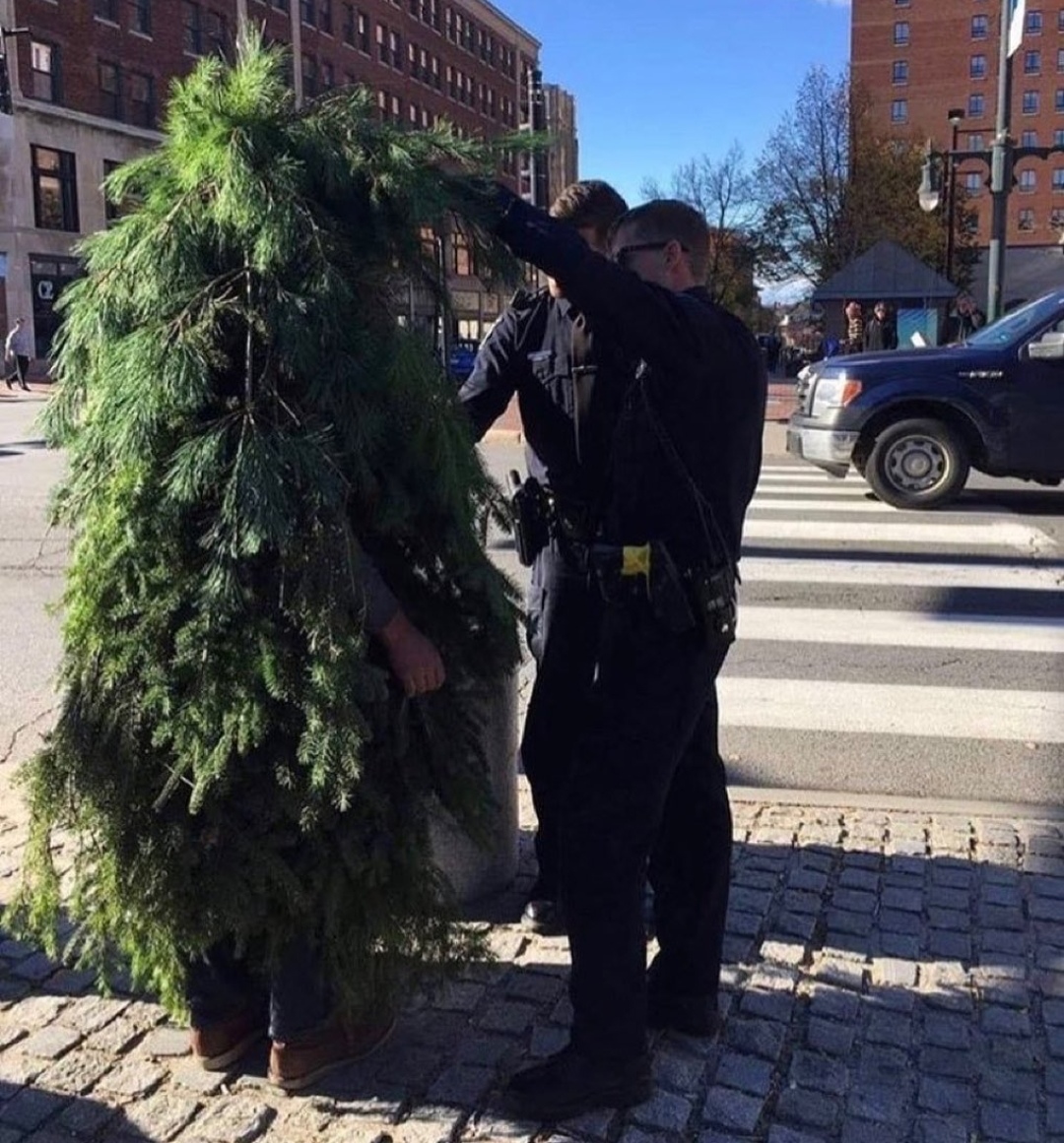 Policía pillando a disfrazado de árbol durante confinamiento