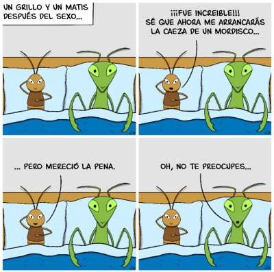 Viñeta mantis sexo