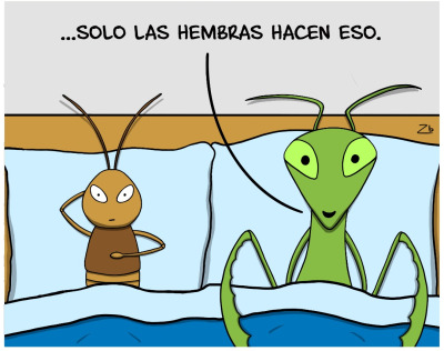 Viñeta mantis sexo